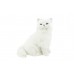 White Persian Plush Cat Sitting